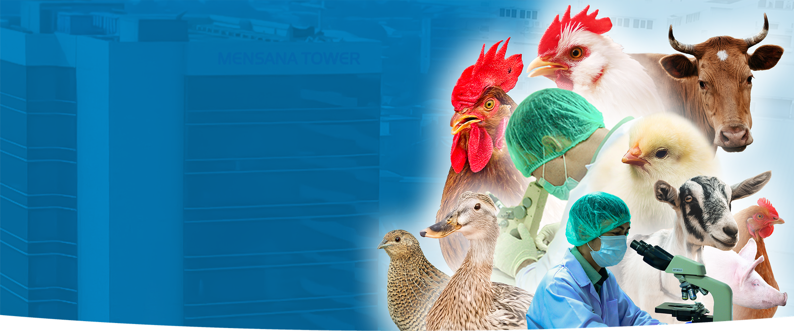 Gambar Halaman Website PT. Mensana Aneka Satwa